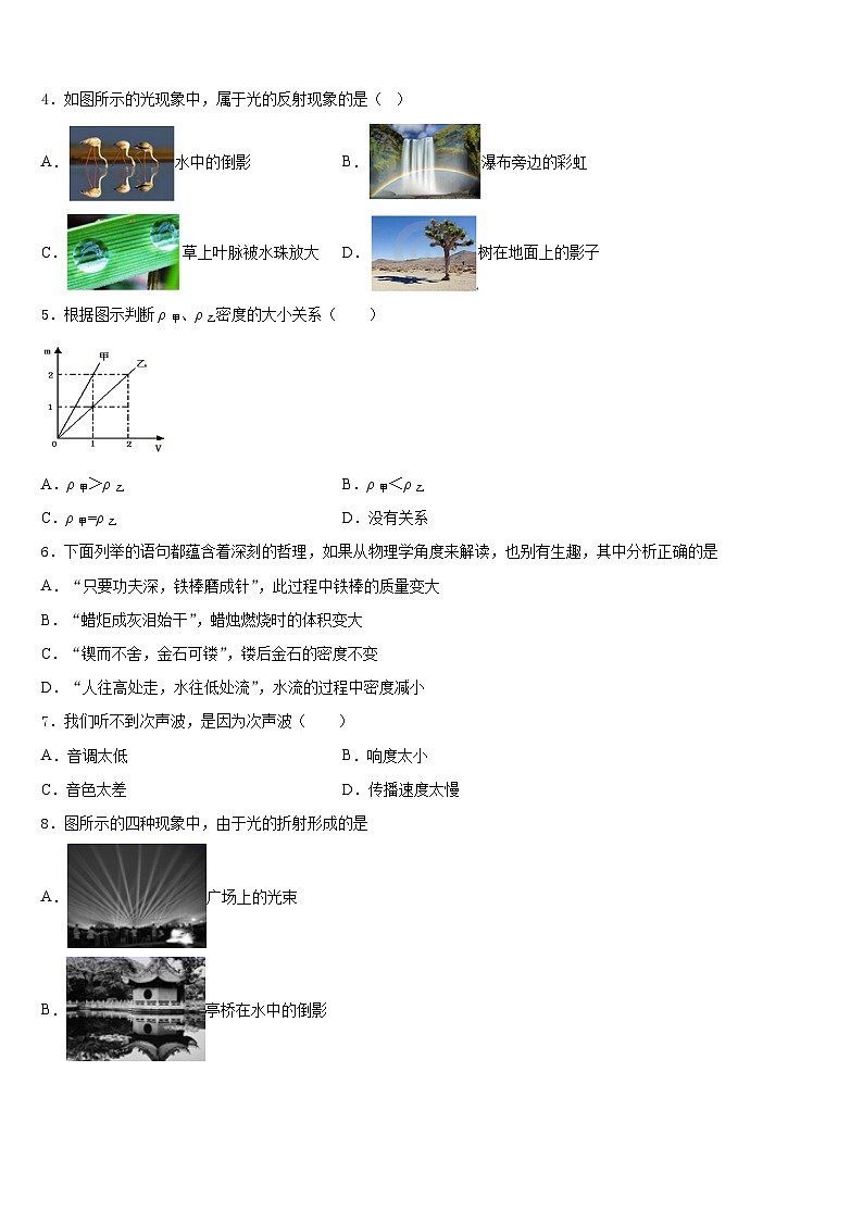 2023-2024学年海南省华东师大二附中八年级物理第一学期期末综合测试模拟试题含答案02