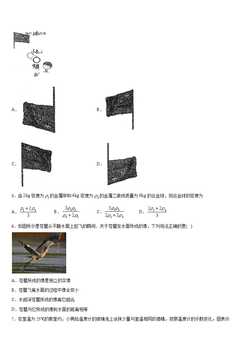 2023-2024学年湖北恩施龙凤民族初级中学八上物理期末检测模拟试题含答案第2页