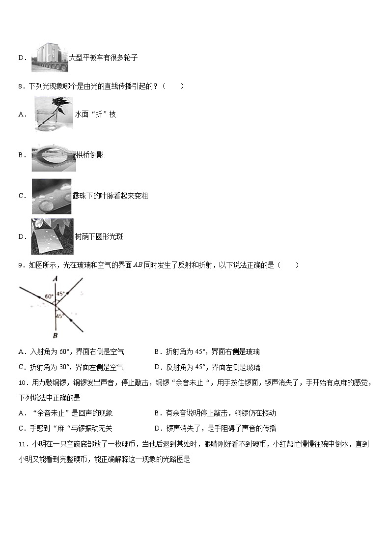 2023-2024学年深圳罗湖区五校联考八上物理期末质量检测试题含答案03