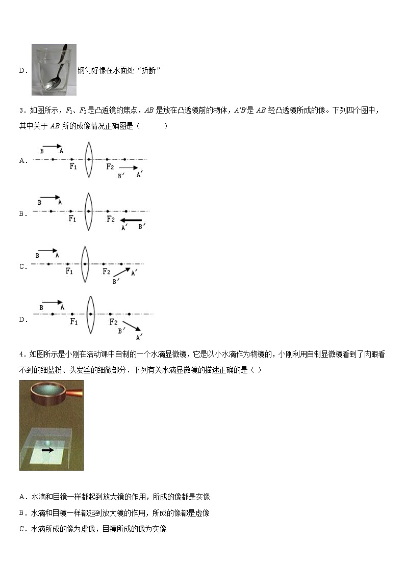 2023-2024学年湖北省大冶市物理八年级第一学期期末综合测试模拟试题含答案第2页