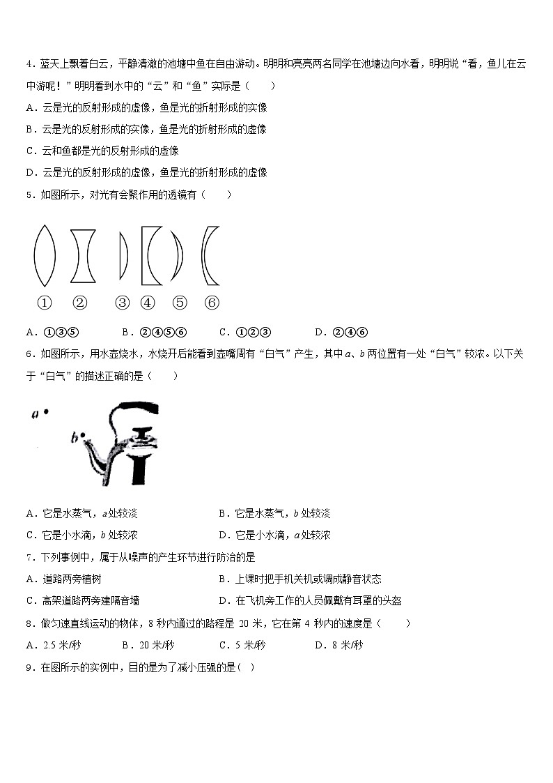2023-2024学年湖北省武汉市武珞路中学八上物理期末质量跟踪监视试题含答案02