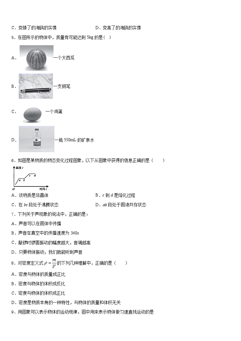 2023-2024学年湖北省宜昌市东部八上物理期末教学质量检测模拟试题含答案第2页