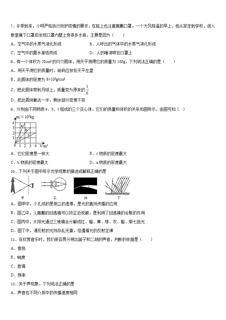 2023-2024学年湖北省麻城市张家畈镇中学物理八上期末统考模拟试题含答案第2页