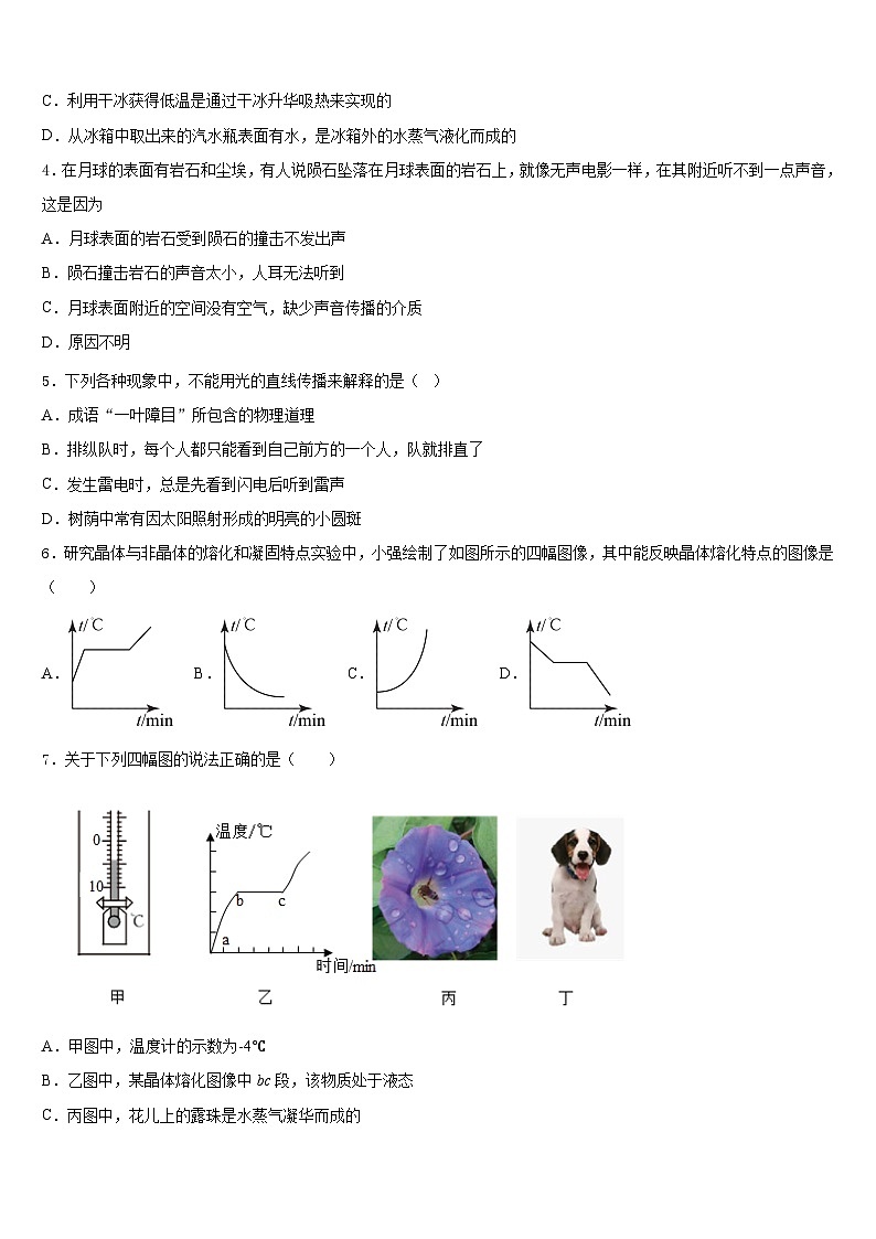 2023-2024学年湖北省黄石市大冶市八上物理期末学业质量监测模拟试题含答案第2页