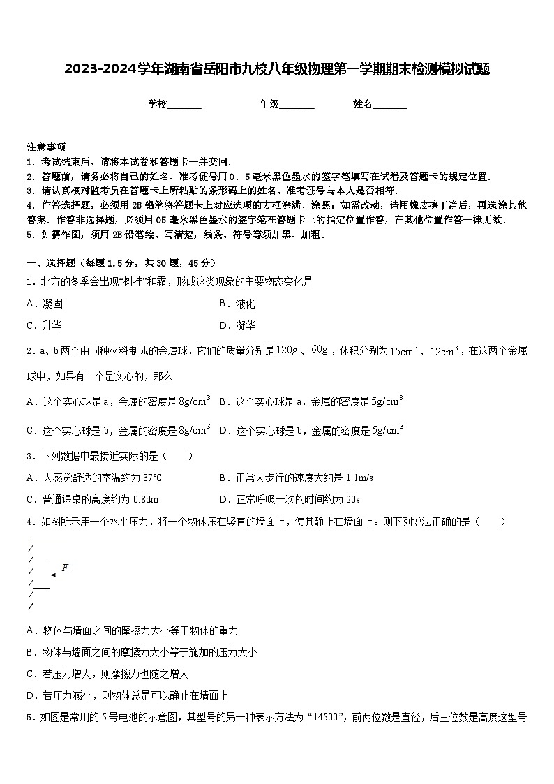 2023-2024学年湖南省岳阳市九校八年级物理第一学期期末检测模拟试题含答案01