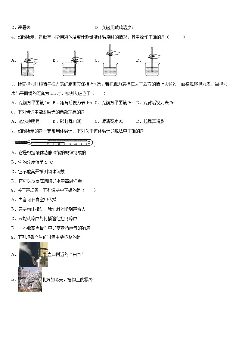2023-2024学年湖南省澧县张公庙中学八上物理期末复习检测模拟试题含答案第2页