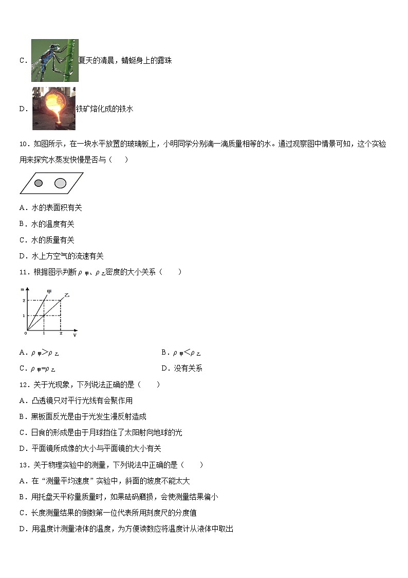 2023-2024学年湖南省澧县张公庙中学八上物理期末复习检测模拟试题含答案第3页