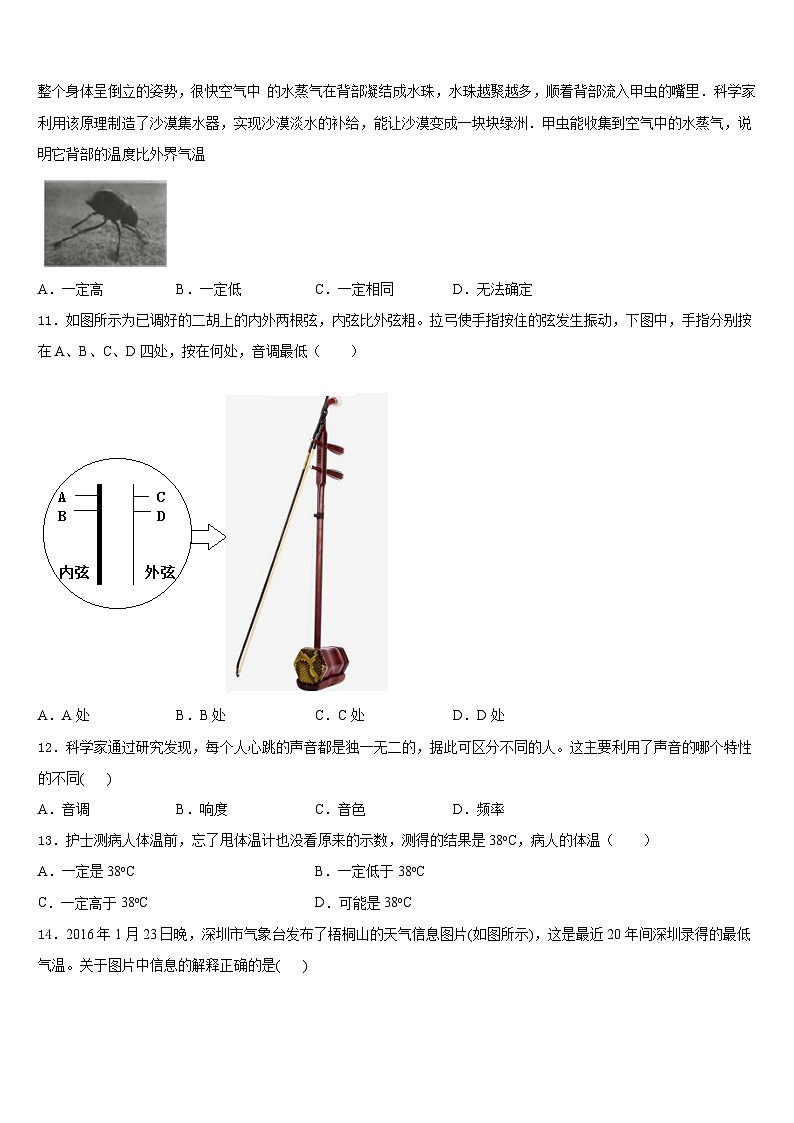 2023-2024学年湖南省邵阳市大祥区八上物理期末检测模拟试题含答案第3页