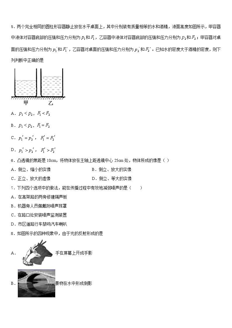 2023-2024学年湖南省长沙市长雅中学八上物理期末学业质量监测模拟试题含答案第2页