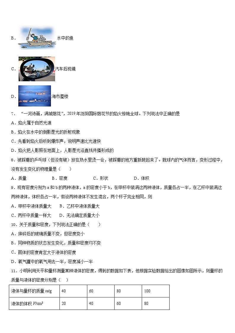 2023-2024学年湖南省长沙市雅礼集团物理八年级第一学期期末质量跟踪监视试题含答案第2页