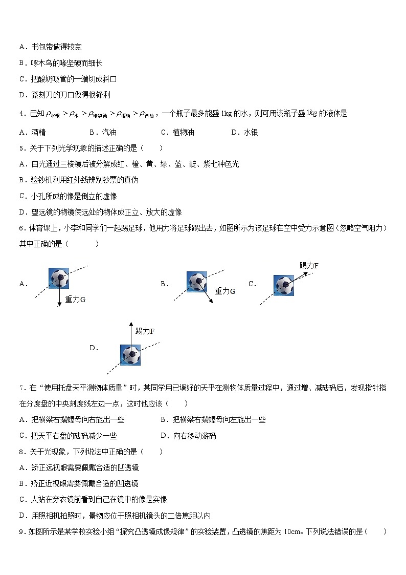 2023-2024學(xué)年湖南省長沙市雅禮實驗中學(xué)物理八上期末教學(xué)質(zhì)量檢測模擬試題含答案第2頁