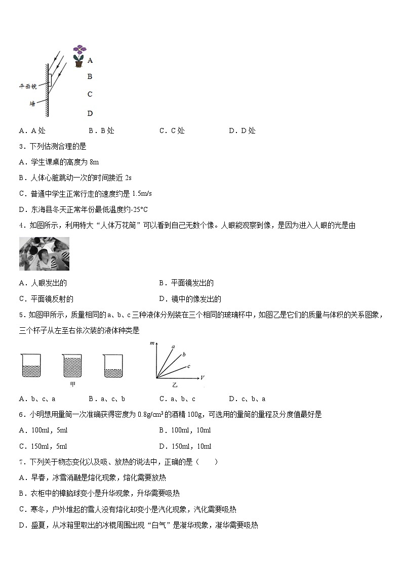 2023-2024学年焦作市重点中学八上物理期末综合测试试题含答案02
