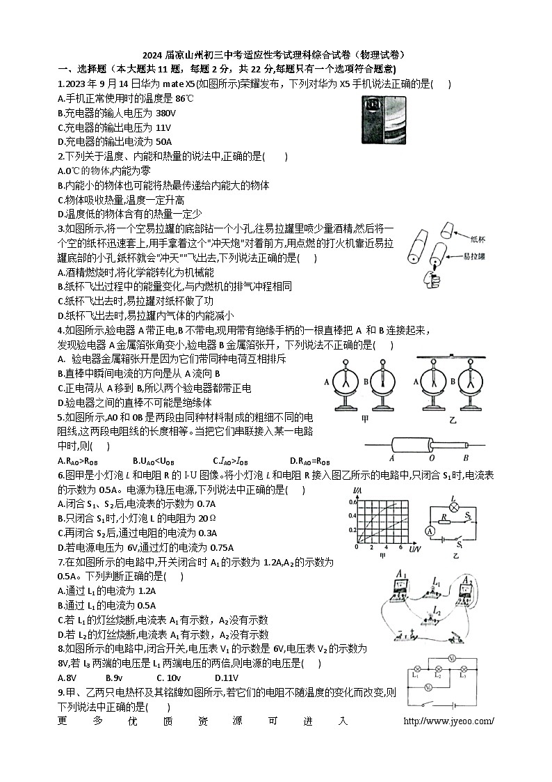 2024年四川省凉山州中考适应性考试物理试卷01