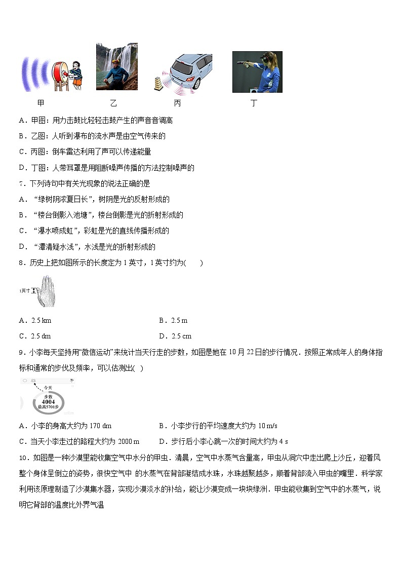 2023-2024学年江苏省南京师大附中树人学校八上物理期末学业水平测试试题含答案第3页