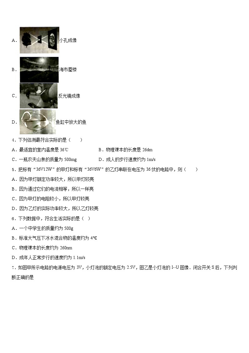 2023-2024学年江苏省扬州市枣林湾学校八上物理期末学业水平测试模拟试题含答案02