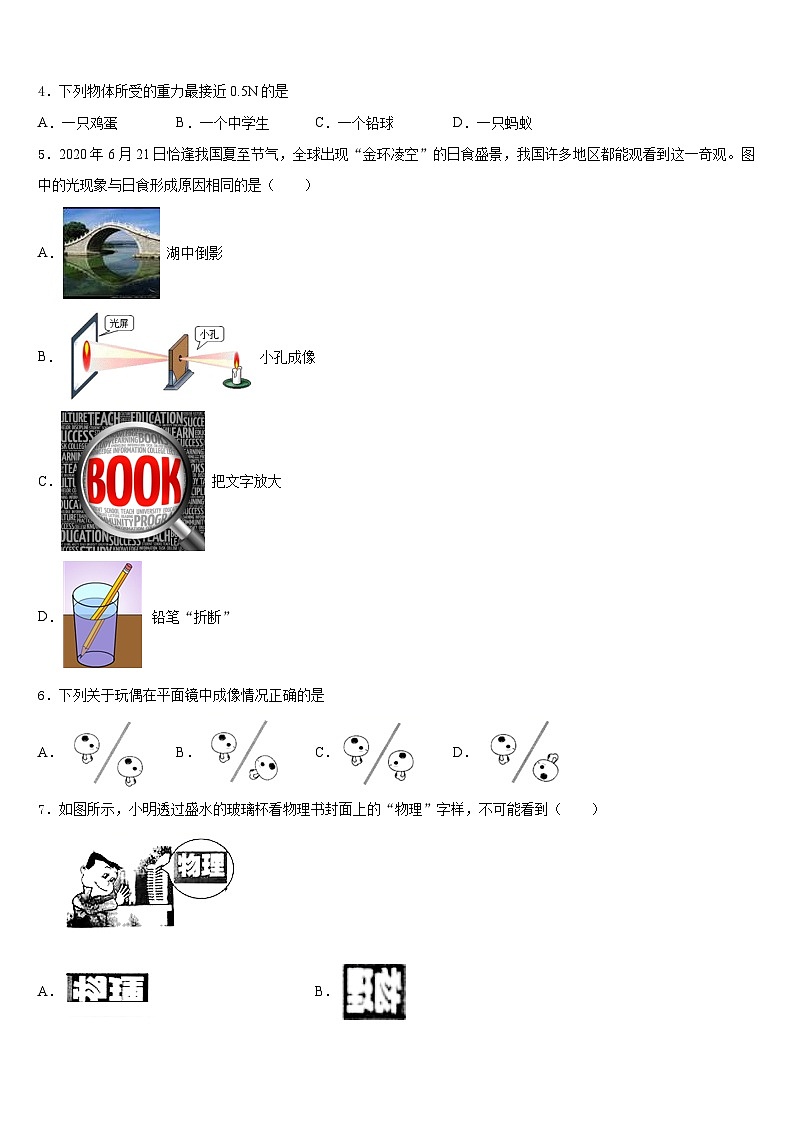 2023-2024学年河南省许昌市八上物理期末学业水平测试试题含答案第2页
