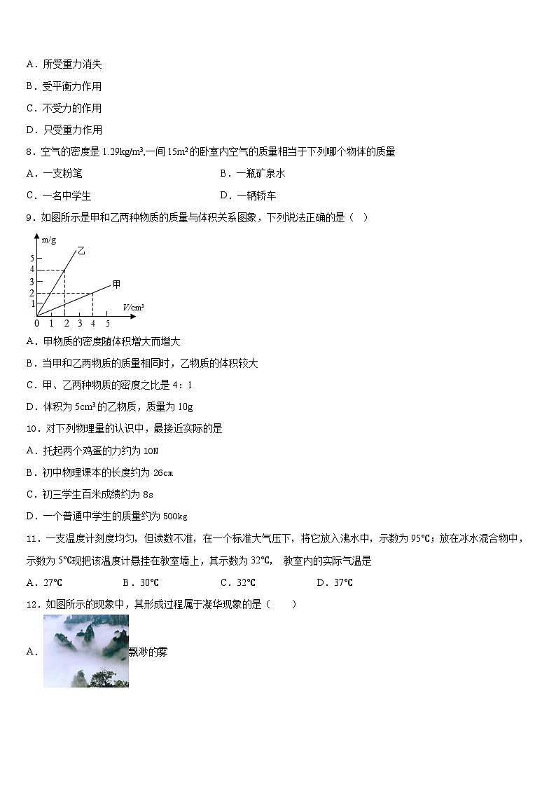 2023-2024學年湖北恩施白楊八上物理期末學業(yè)水平測試模擬試題含答案第3頁