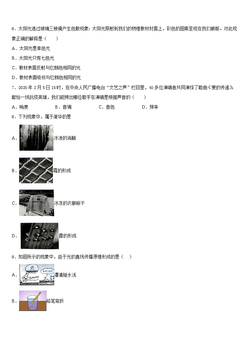吉林省农安县三岗中学2023-2024学年八年级物理第一学期期末考试试题含答案第2页