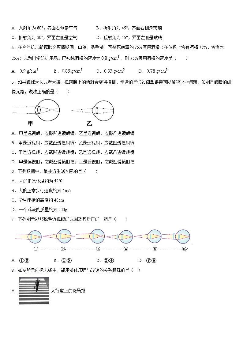 四川省乐山市井研县2023-2024学年八年级物理第一学期期末综合测试模拟试题含答案第2页