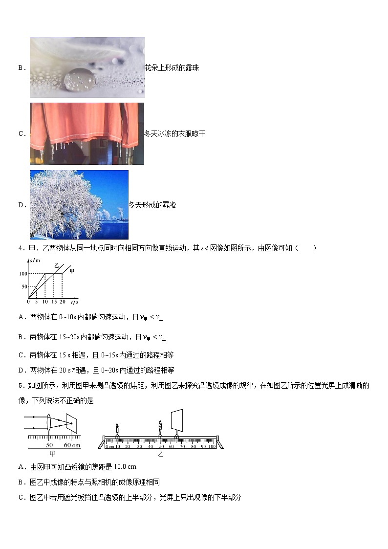 安徽省宿州市第九中学2023-2024学年八年级物理第一学期期末综合测试模拟试题含答案第2页