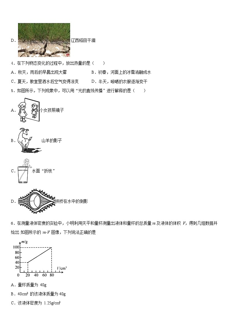 山东省冠县联考2023-2024学年物理八年级第一学期期末达标检测试题含答案第2页