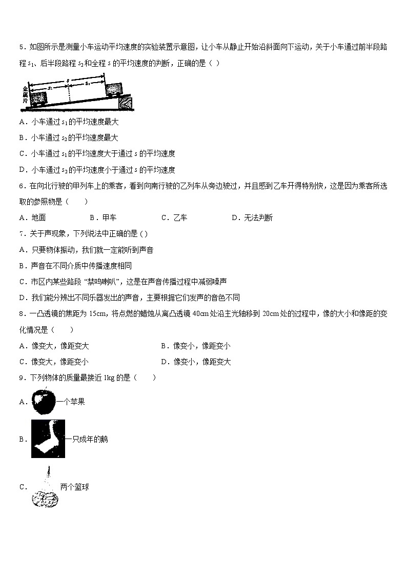 山东省泰安市、新泰市2023-2024学年八上物理期末经典模拟试题含答案02