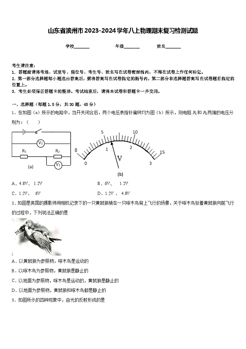 山东省滨州市2023-2024学年八上物理期末复习检测试题含答案第1页