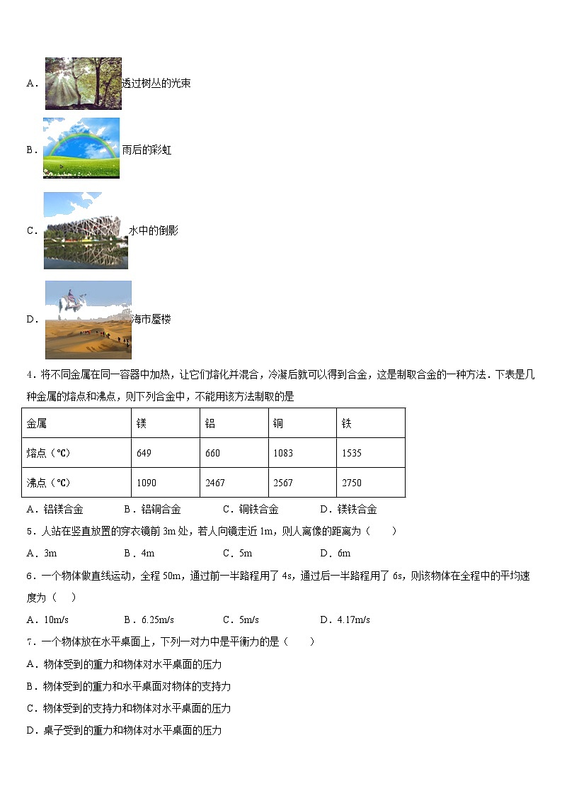 山东省滨州市2023-2024学年八上物理期末复习检测试题含答案第2页