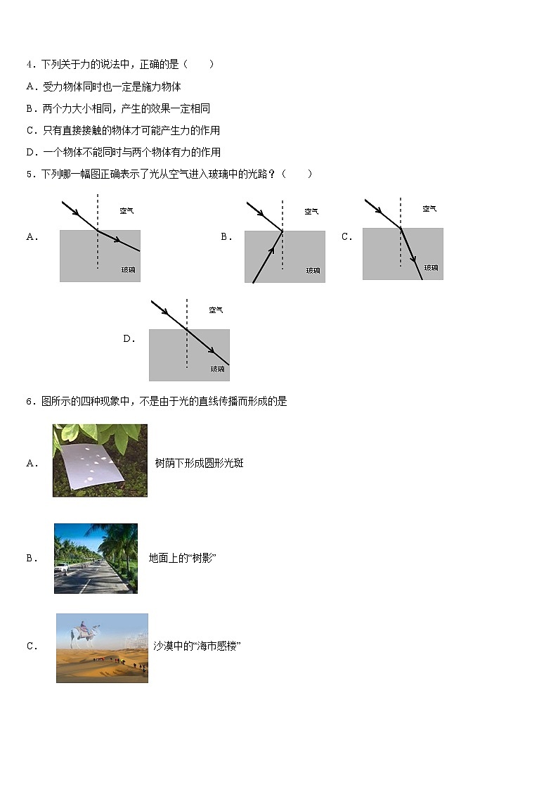 山东省莒县2023-2024学年八年级物理第一学期期末学业质量监测试题含答案02