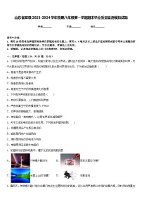 山東省莒縣2023-2024學(xué)年物理八年級(jí)第一學(xué)期期末學(xué)業(yè)質(zhì)量監(jiān)測(cè)模擬試題含答案