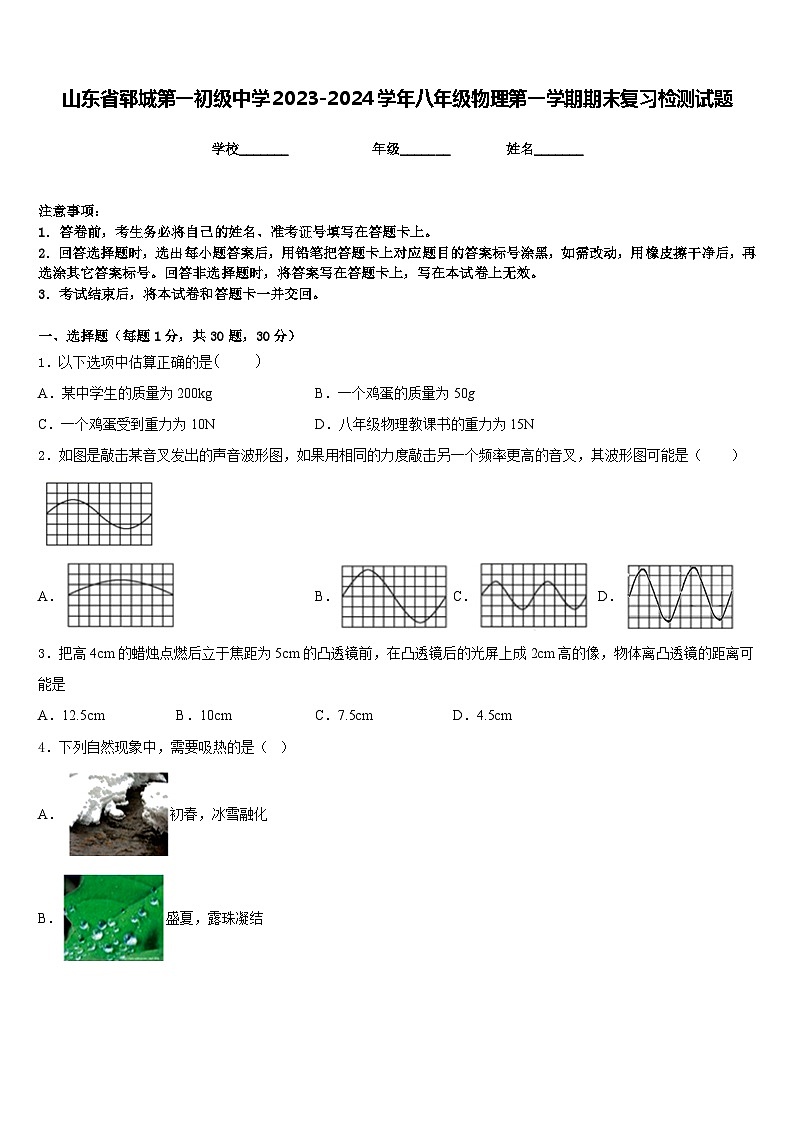 山東省鄆城第一初級中學2023-2024學年八年級物理第一學期期末復習檢測試題含答案第1頁