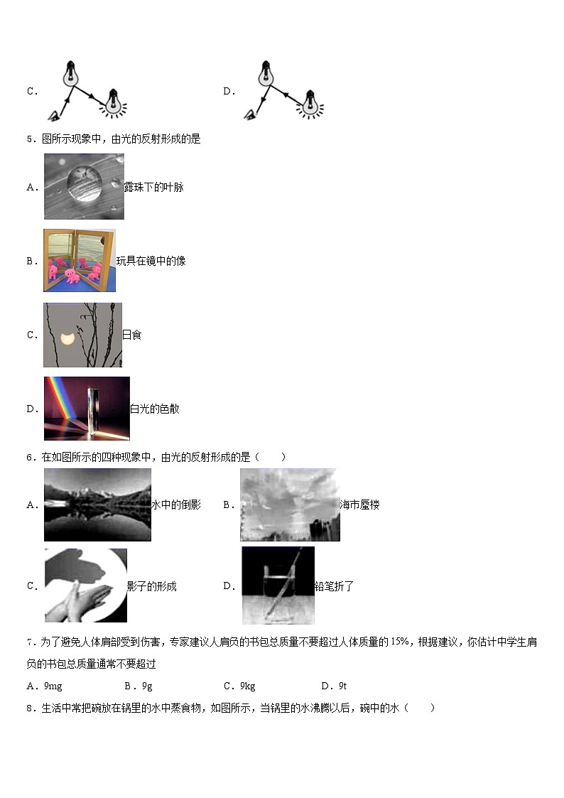 山西省2023-2024學年物理八上期末學業(yè)質量監(jiān)測模擬試題含答案第2頁