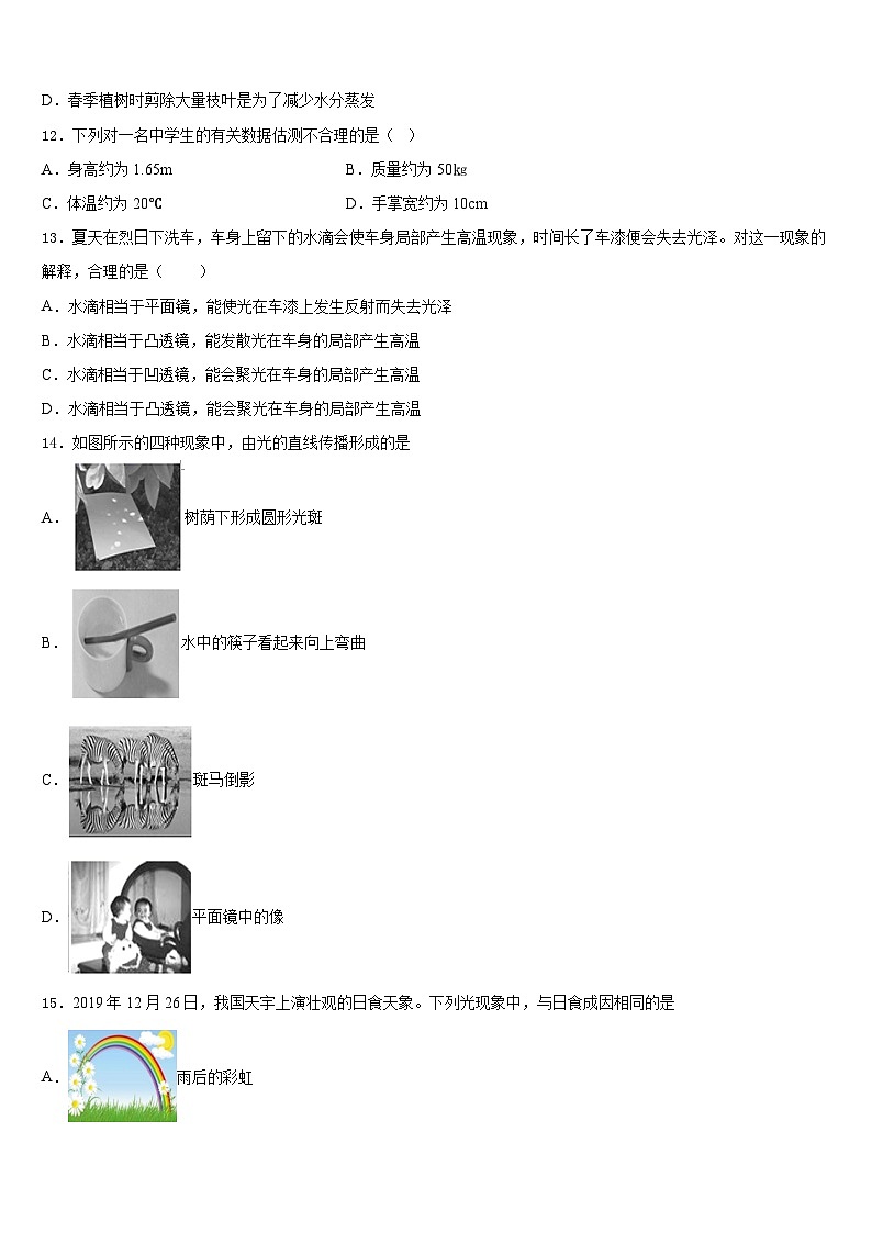 广东省统考2023-2024学年物理八上期末调研试题含答案第3页