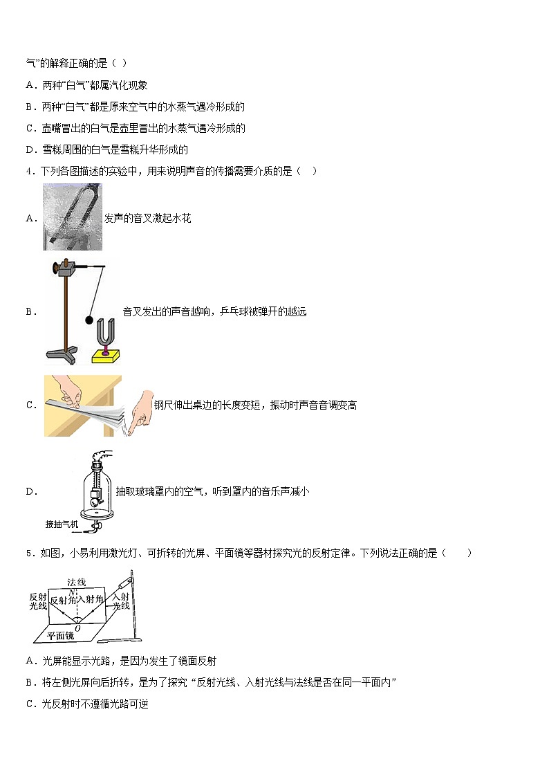 广东阳江市阳春八甲中学2023-2024学年八上物理期末达标检测模拟试题含答案第2页