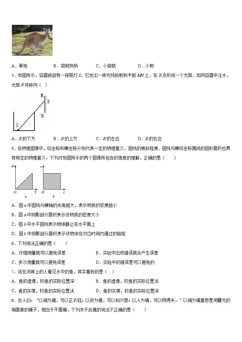 广西浦北县2023-2024学年物理八上期末达标检测模拟试题含答案第2页