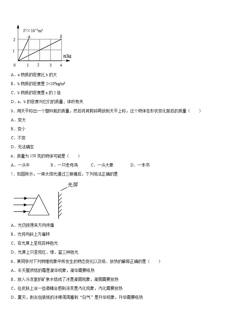 林芝市重点中学2023-2024学年八年级物理第一学期期末复习检测模拟试题含答案第2页