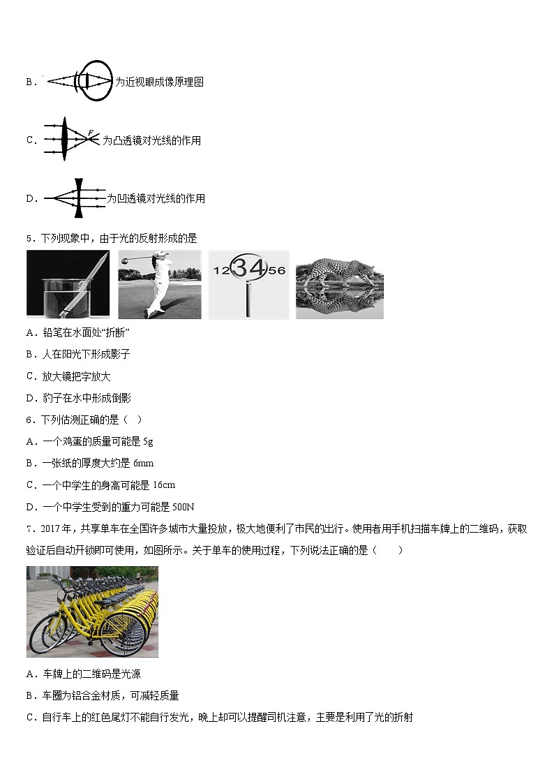 江苏省徐州市睢宁县2023-2024学年物理八年级第一学期期末达标检测模拟试题含答案02
