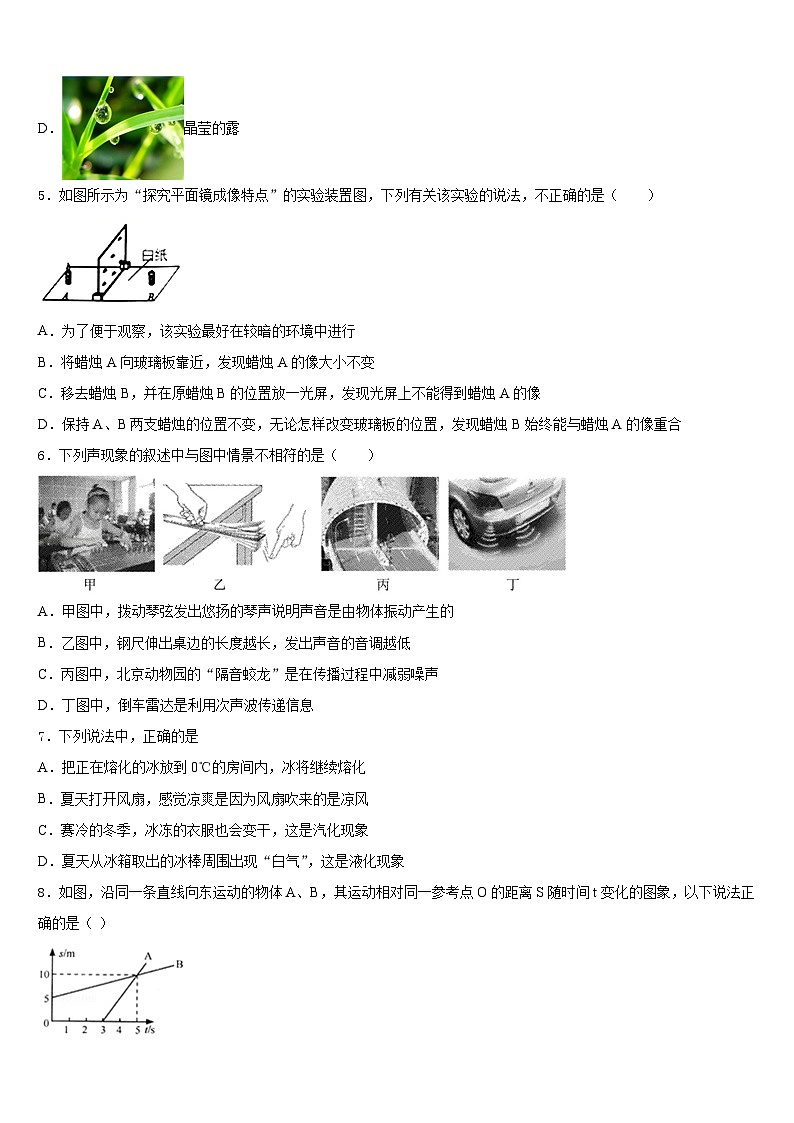 江苏省徐州市沛县2023-2024学年物理八年级第一学期期末达标检测模拟试题含答案02