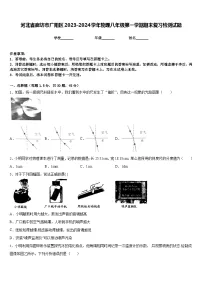 河北省廊坊市广阳区2023-2024学年物理八年级第一学期期末复习检测试题含答案