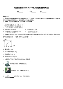 河南省宝丰县2023-2024学年八上物理期末经典试题含答案