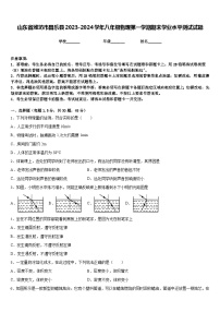 山東省濰坊市昌樂縣2023-2024學(xué)年八年級(jí)物理第一學(xué)期期末學(xué)業(yè)水平測(cè)試試題含答案