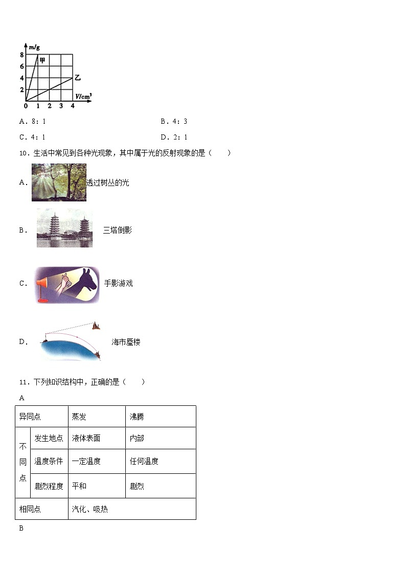 湖北省武汉市青山区2023-2024学年八年级物理第一学期期末综合测试模拟试题含答案第3页