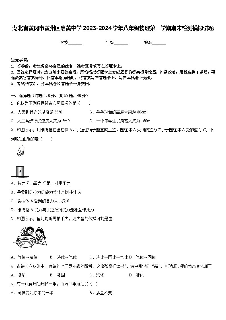 湖北省黄冈市黄州区启黄中学2023-2024学年八年级物理第一学期期末检测模拟试题含答案第1页