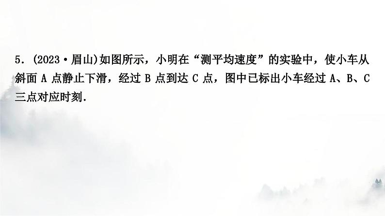 人教版中考物理复习二力学第6讲机械运动课件第6页