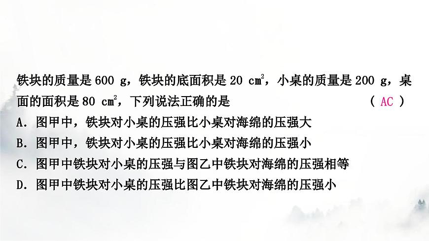 人教版中考物理復(fù)習(xí)二力學(xué)第9講壓強(qiáng)第1課時(shí)固體壓強(qiáng)課件第6頁