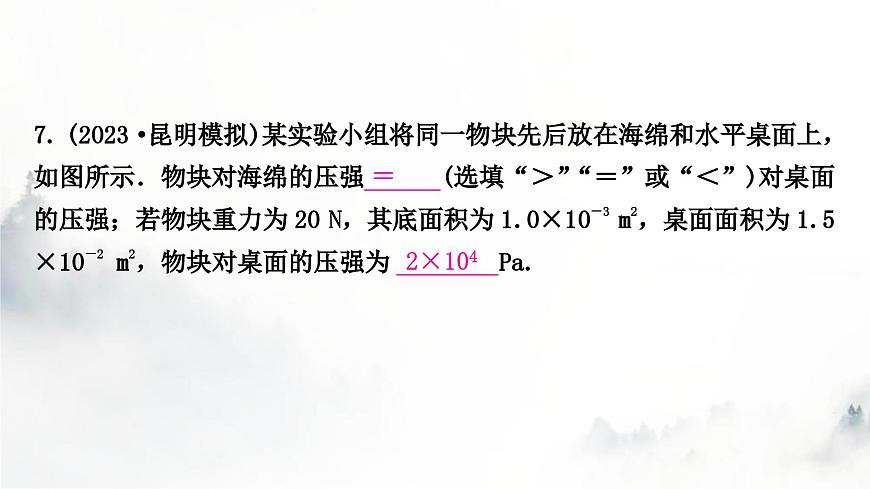 人教版中考物理復(fù)習(xí)二力學(xué)第9講壓強(qiáng)第1課時(shí)固體壓強(qiáng)課件第8頁