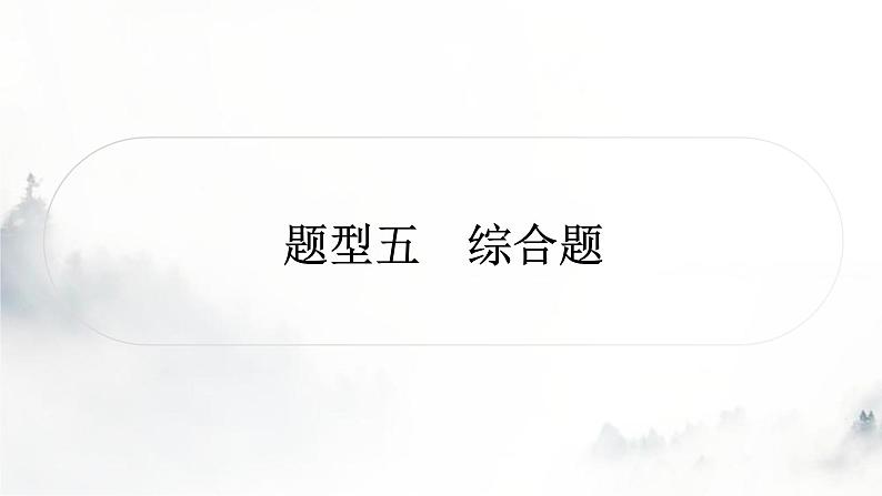 人教版中考物理复习题型突破五综合题课件01