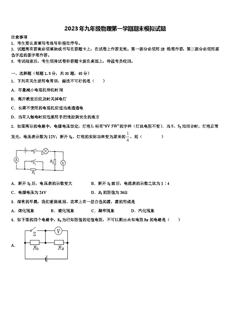 2023年九年级物理第一学期期末模拟试题第1页