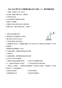 2022-2023學年遼寧省盤錦市盤山縣九年級（上）期末物理試卷（含詳細答案解析）