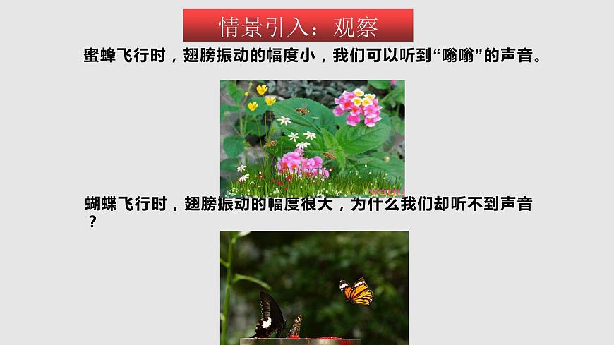 蘇科版年八年級物理上冊同步精品備課 1.4 人耳聽不見的聲音（課件）第2頁